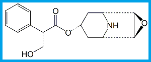 HYOSCINE EP IMPURITY A / NORHYOSCINE / N-DESMETHYL HYOSCINE